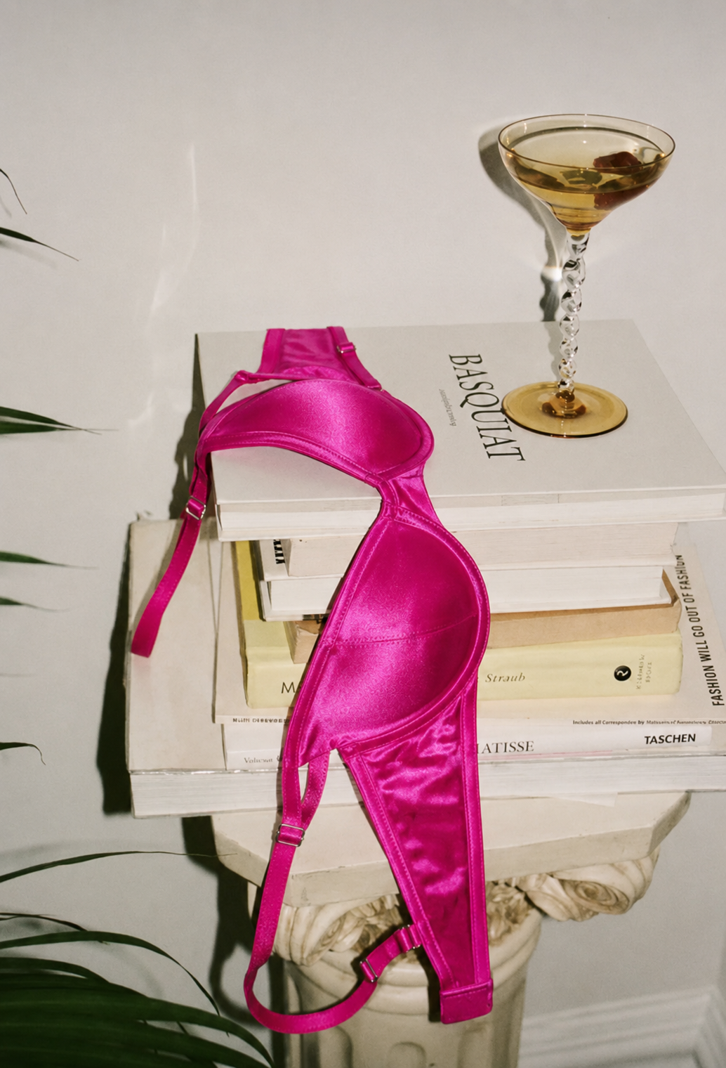 Hot pink satin and sheer mesh flash photo